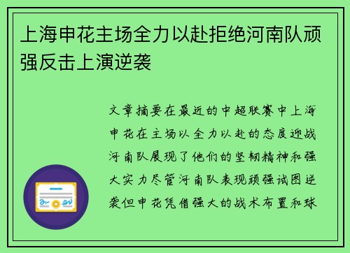 上海申花主场全力以赴拒绝河南队顽强反击上演逆袭